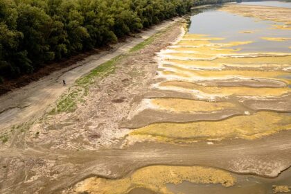 Fossils and a shipwreck unveiled along Danube following drought