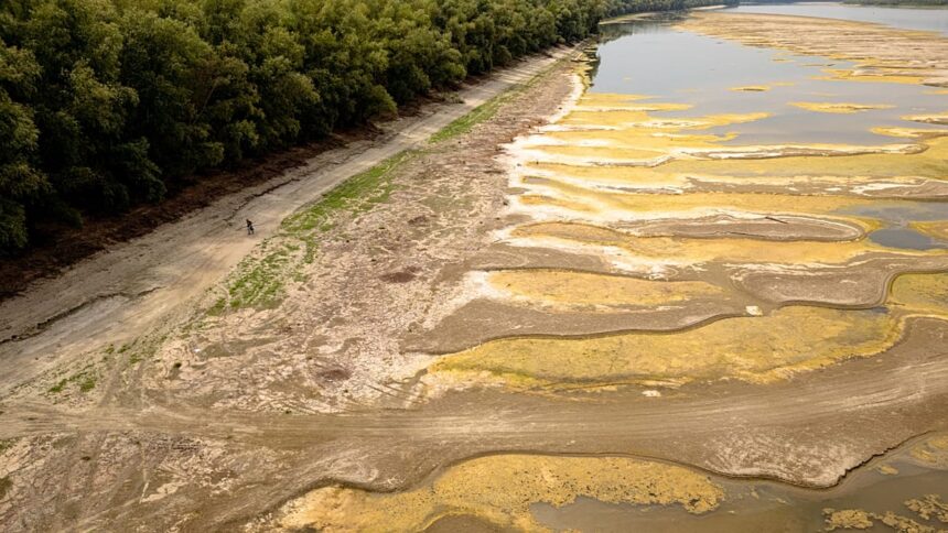 Fossils and a shipwreck unveiled along Danube following drought