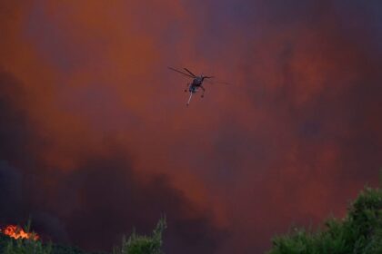 Why the EU is betting on prevention in its new wildfire strategy