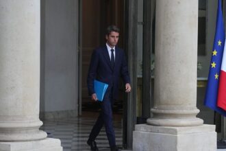 Fake videos target French presidential election candidates
