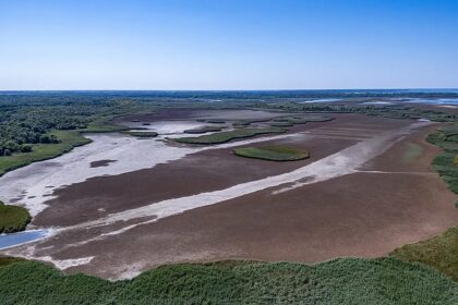 EU’s wildfire summer puts spotlight on EU nature restoration plans