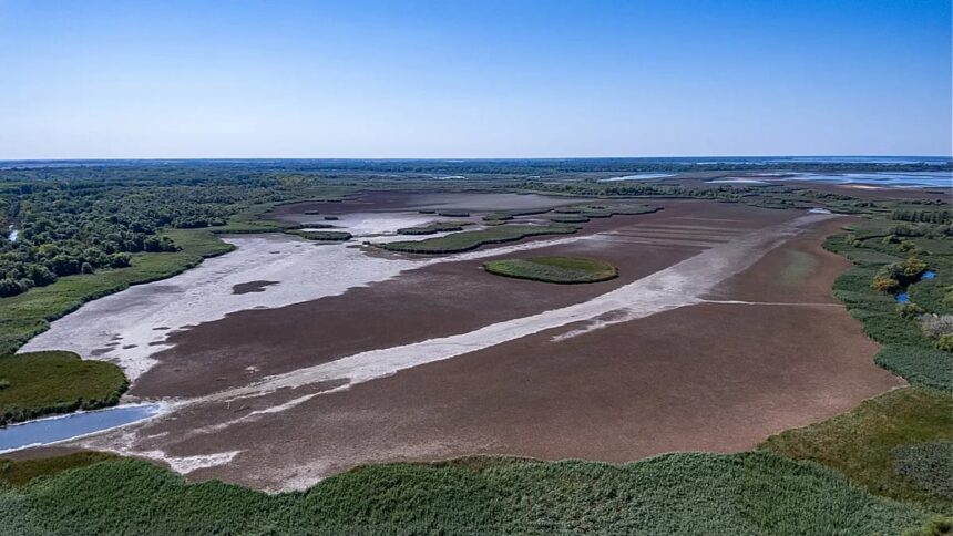 EU’s wildfire summer puts spotlight on EU nature restoration plans