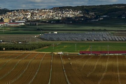 Brussels asked to make green criteria mandatory in procurement rules