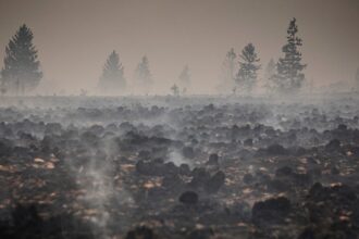 Firefighters pushing to ‘definitively encircle’ Belgium wildfire