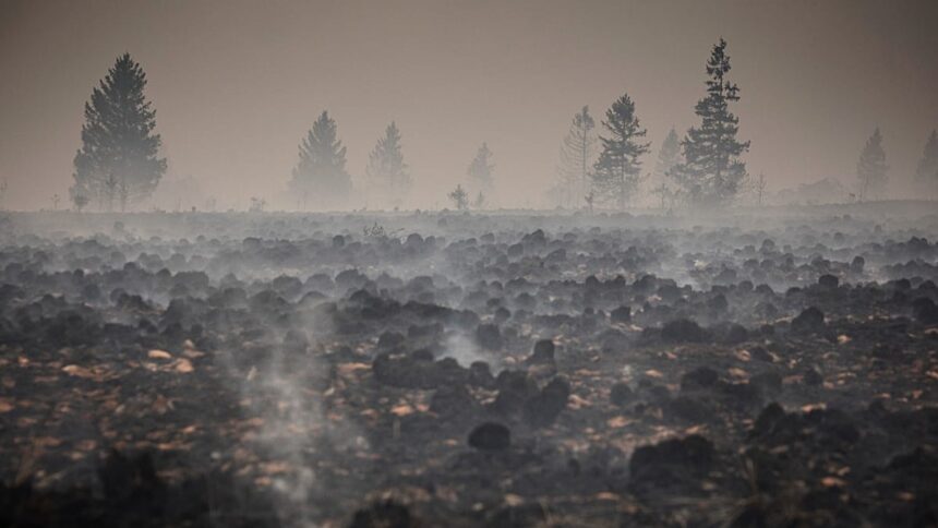 Firefighters pushing to ‘definitively encircle’ Belgium wildfire