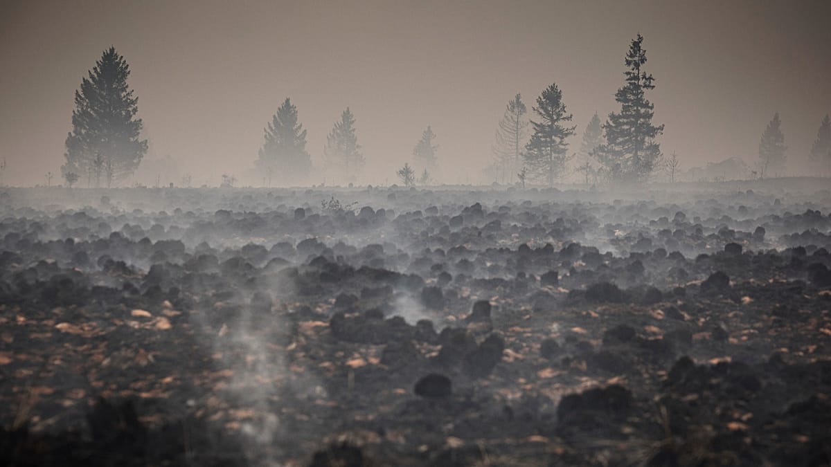Firefighters pushing to ‘definitively encircle’ Belgium wildfire