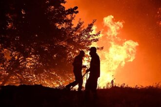 What should the EU prioritise to tackle wildfires? Take our poll