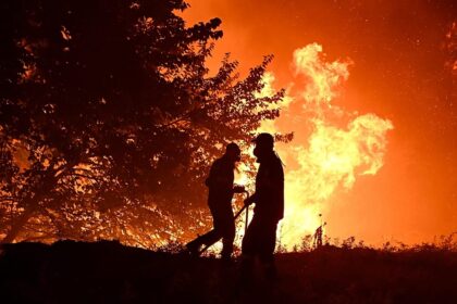 What should the EU prioritise to tackle wildfires? Take our poll