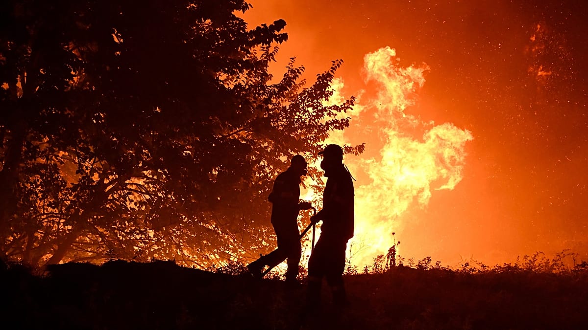 What should the EU prioritise to tackle wildfires? Take our poll