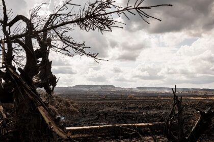 Extreme weather hits Europe as wildfires, floods and storms