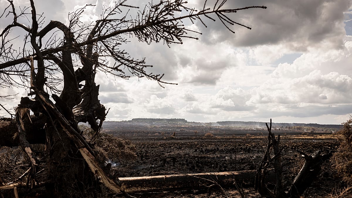 Extreme weather hits Europe as wildfires, floods and storms
