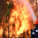 Can the EU combat wildfires? Ask the Euronews AI chatbot