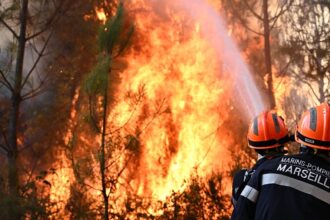 Can the EU combat wildfires? Ask the Euronews AI chatbot