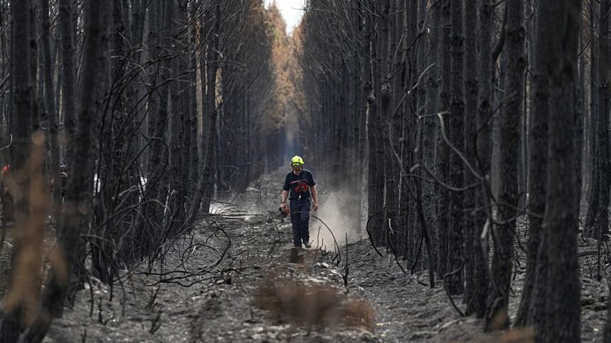 Europe’s wildfires update: Greece still battling, outbreaks in Spain