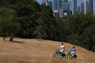 Europe facing strain on resources and services due to heatwaves