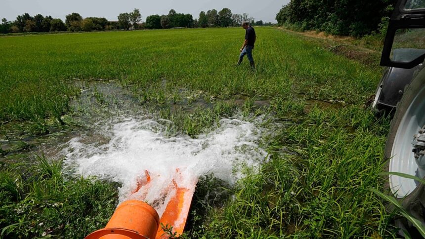 The EU loses one in four litres of treated water. Can AI fix that?
