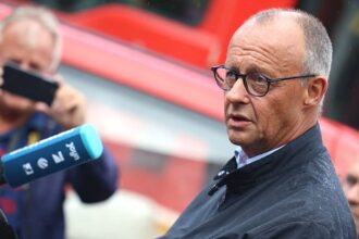 Merz visits Hürtgen Forest fire site, met with boos and whistles