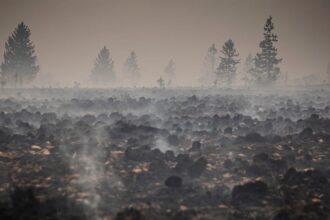 Belgium’s fire of the century now ‘under control,’ local official says