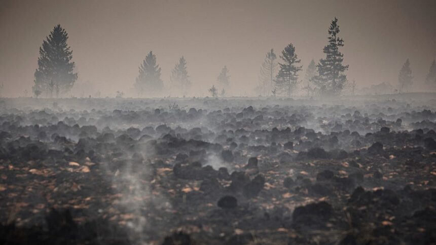 Belgium’s fire of the century now ‘under control,’ local official says
