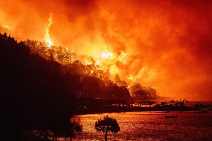 Wildfires devastate Europe as thousands forced to flee homes