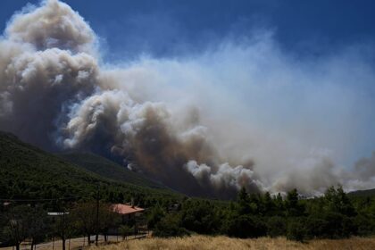 Wildfires in Europe: blazes continue to spread in France and Greece