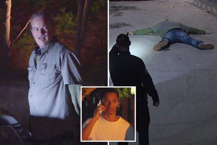 Creepy moment man with a dog is caught prowling Hollywood star Nia Long’s Hollywood Hills mansion