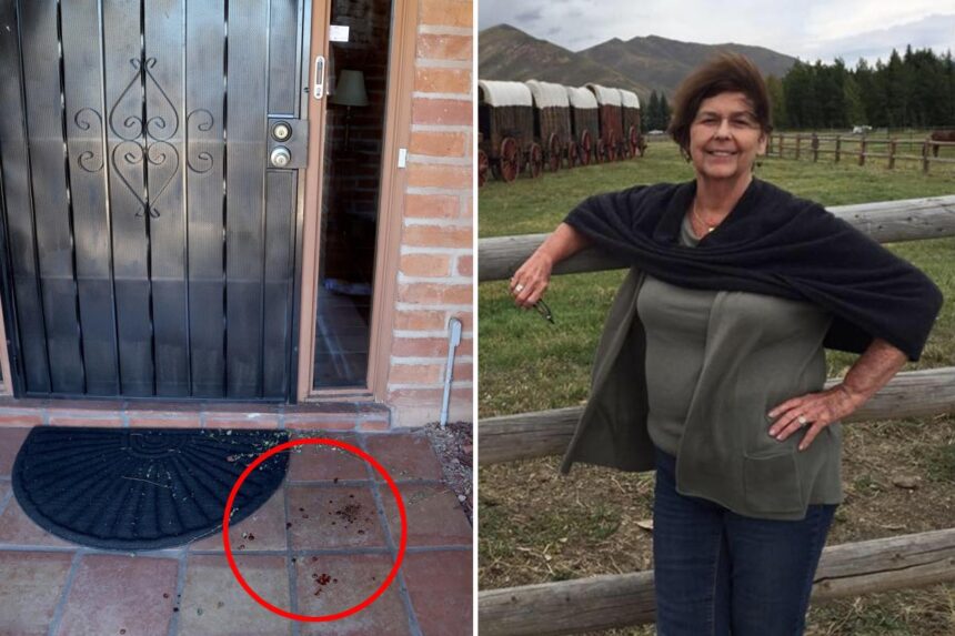 Bungling Nancy Guthrie probers ignored blood on porch, thinking it was unrelated, and opened crime scene: report