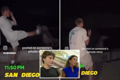 Teen’s three-word joke turns his life upside-down as he’s outed as the vicious sea lion fighter