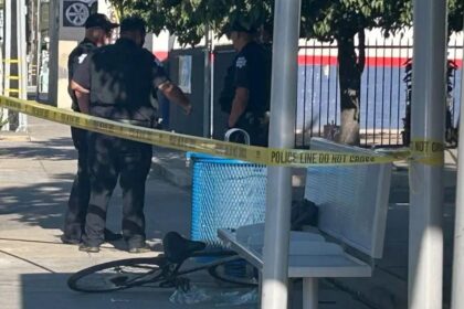 Rush hour horror as hatchet-wielding maniac hacks bicyclist in California