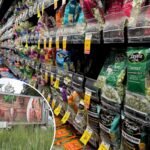 US’ largest food distributor stops lettuce purchases after cyclosporiasis deaths