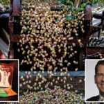 Pistachio prices skyrocket after California crop disaster