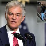 Dr. Oz points to powerful California unions as ‘biggest beneficiaries’ in Medicaid fraud scheme