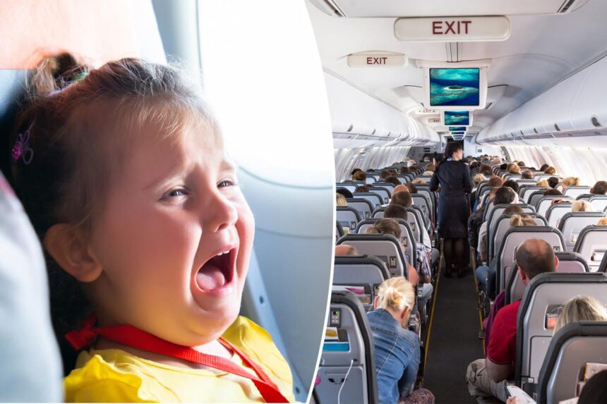 ‘Unsafe condition’: Flight canceled after unruly toddler stood on seat, refused to fasten seatbelt