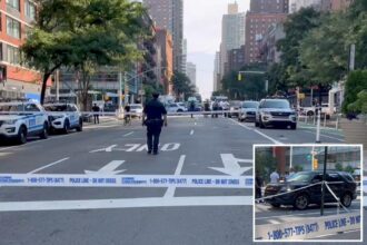 USPS truck fatally strikes man and flees scene as NYC sees 2 deadly hit-and-runs overnight: sources