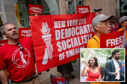 NYC-DSA’s membership is very, very white, internal report finds