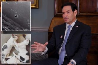 Marco Rubio dishes on ‘serious’ UFO sightings, his war with Pete Hegseth’s cat — and why he won’t do the MAHA diet
