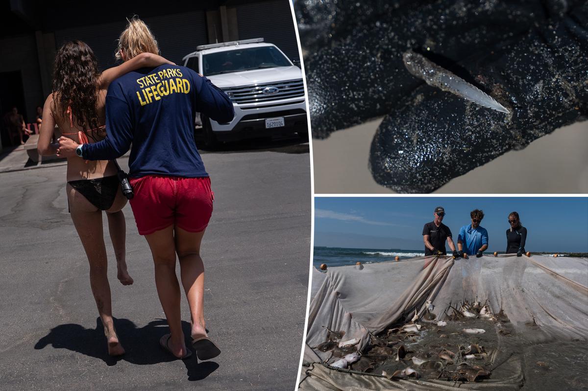 California heat wave increases hidden danger lurking beneath beach waters