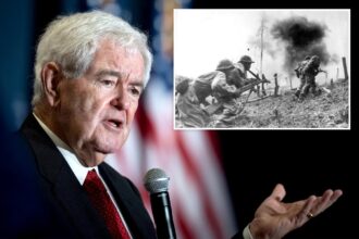 Iran betting it can outlast Trump if Dems take Congress, Gingrich says: ‘Trying to win in America politically’ like North Vietnam