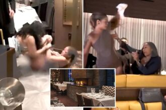 Senseless motive behind bloody, hair-pulling brawl at swanky Beverly Hills steakhouse revealed
