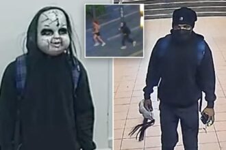 Suspect wearing Chucky mask allegedly harasses six people, asks female jogger ‘Are you ready to die?’