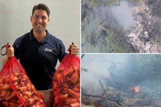Millionaire food entrepreneur once on Forbes 30 Under 30 list was among 5 Americans killed in Kenyan helicopter crash