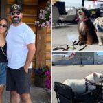 We flew with two dogs on JSX, here’s what it was really like