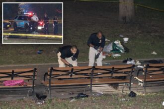 Maniac fatally stabbed 30-year-old mom in NYC park in fit of rage over spurned advances – in front of her son, 7: NYPD