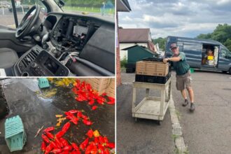 Pennsylvania community raises thousands for small farm after carjacking left thousands in produce losses