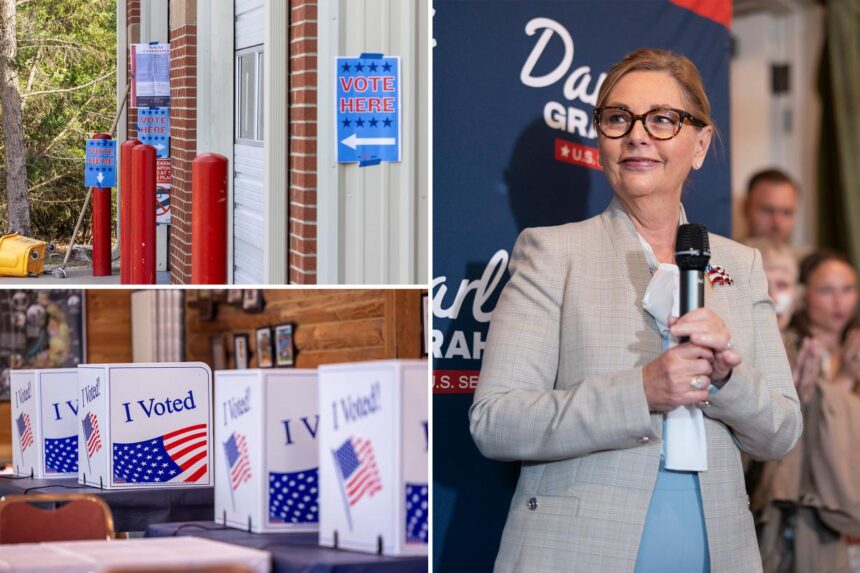 Darline Graham wins South Carolina’s GOP Senate primary runoff election for brother’s seat