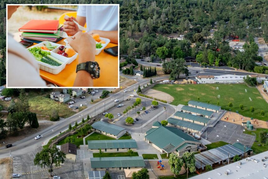 America’s healthiest schools ranked — and a California district dominated the list