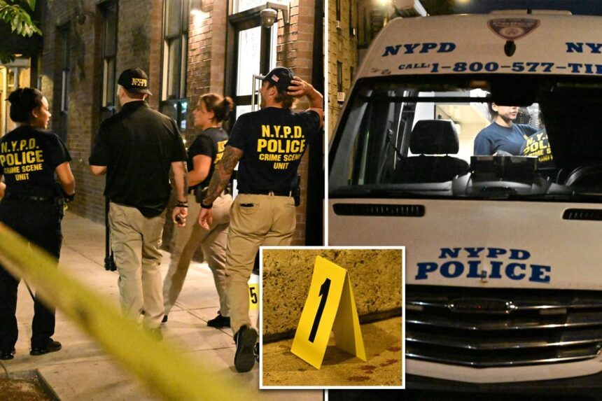 NYC school worker killed, friend stabbed during unhinged attack by maniac with 13 prior busts: sources