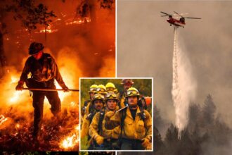 Napa Valley winery worker charged with starting massive fire that caused M in losses