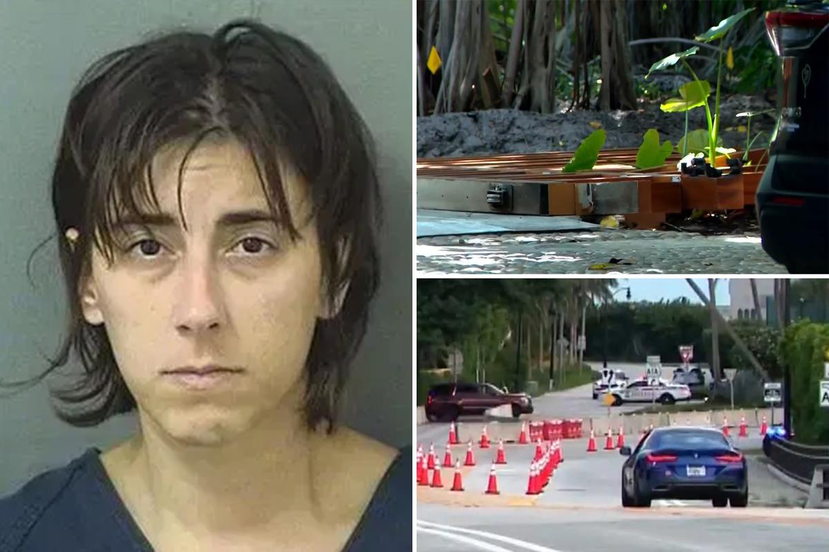 Woman crashes into gate near Mar-a-Lago — sparking police chase ending with her dog being shot by cops
