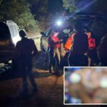 Race against time to save camper attacked by rattlesnake at Arizona remote site